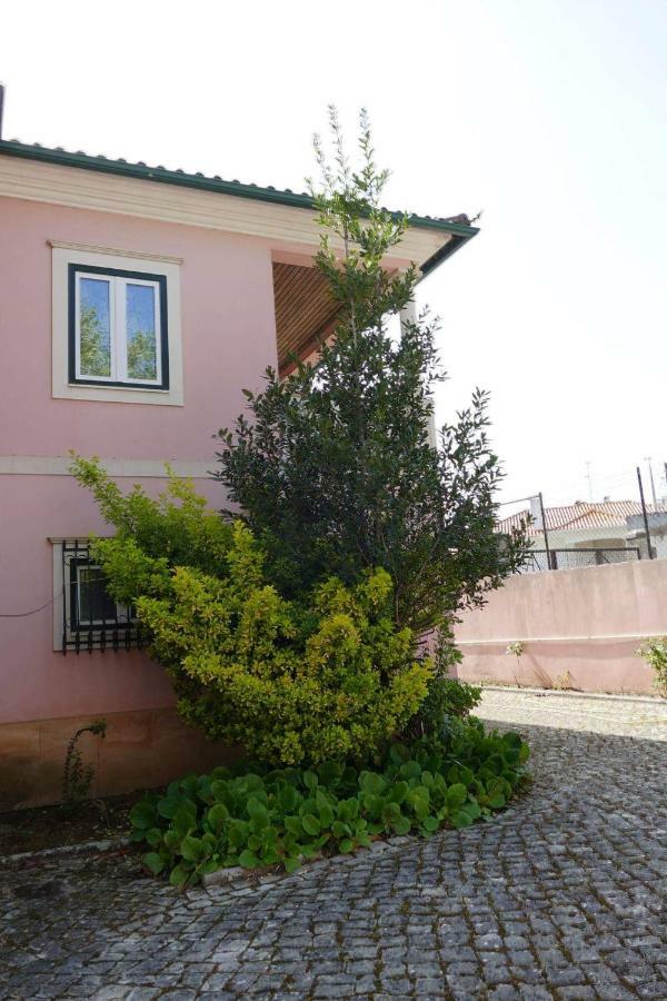 Casa Da Palmeira Leiria Exterior foto